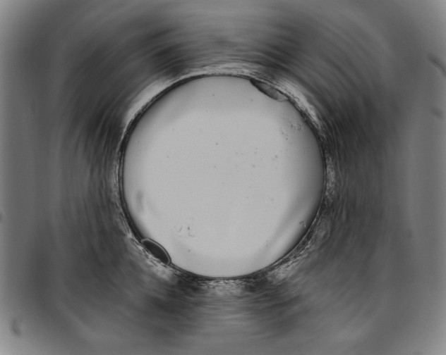 X0000097000952200802291144