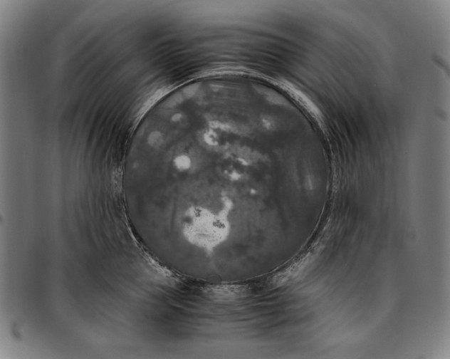 X0000097000953200802291144