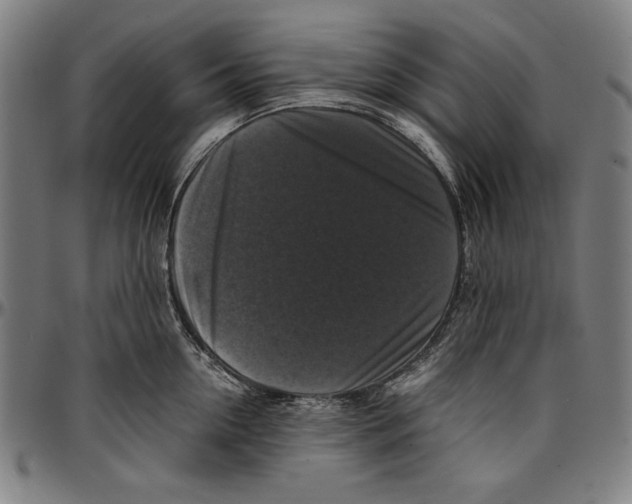 X0000097000954200802291144