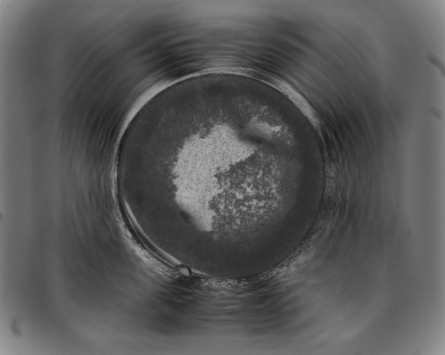 X0000097000955200802291144