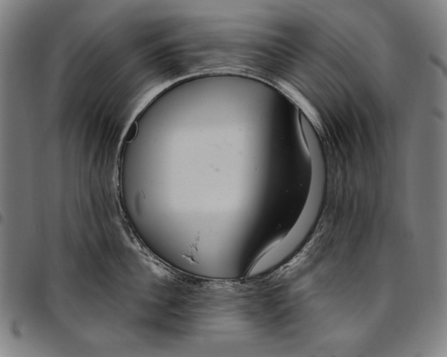 X0000097000956200802291144