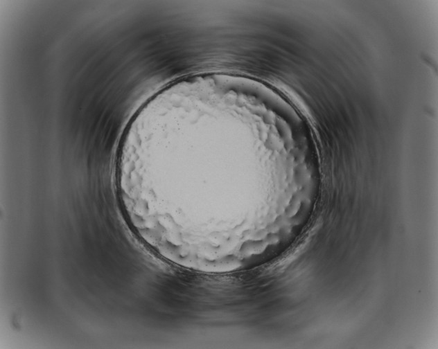 X0000097000957200802291144