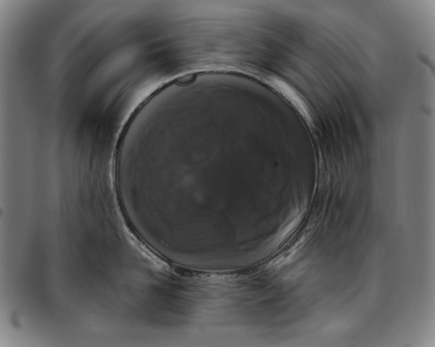 X0000097000958200802291144