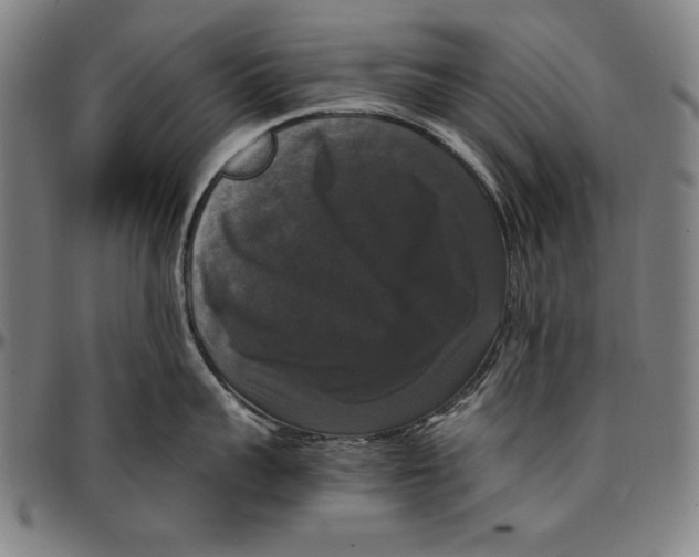 X0000097000959200802291144