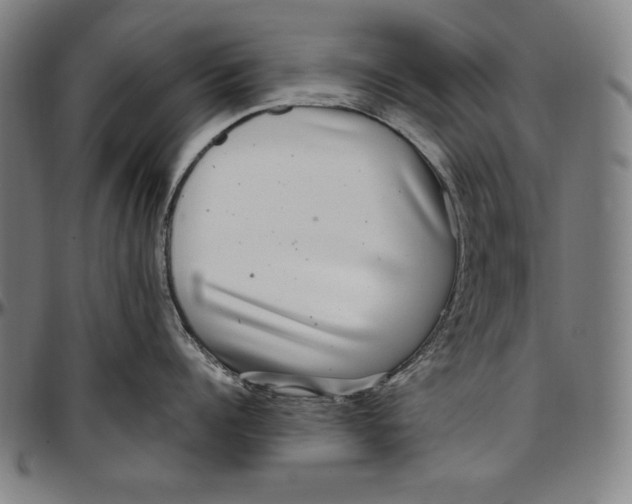 X0000097000960200802291144