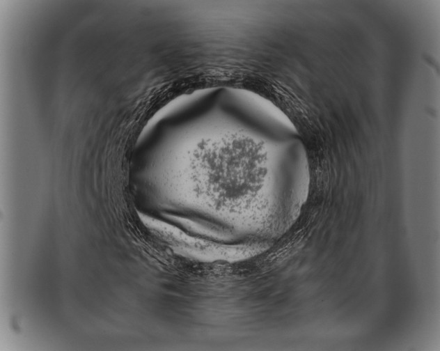 X0000097000961200802291143