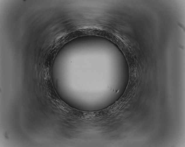 X0000097000965200802291143