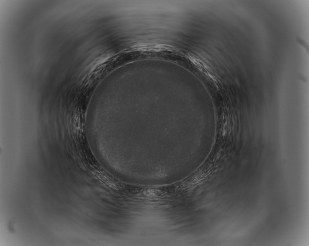 X0000097000966200802291143