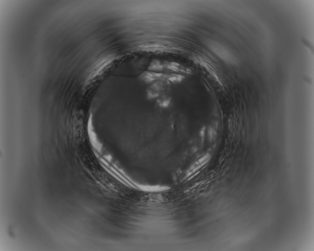 X0000097000968200802291143