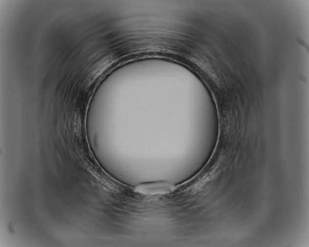 X0000097000969200802291143