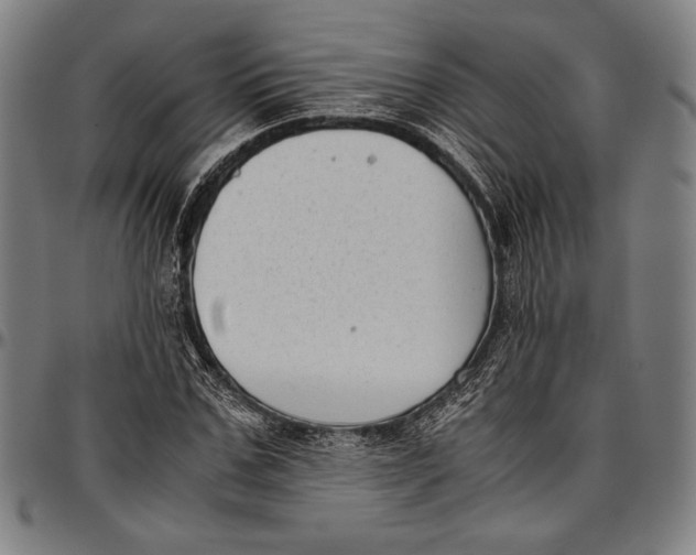 X0000097000971200802291143