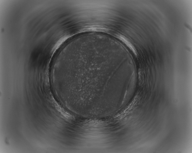 X0000097000972200802291143