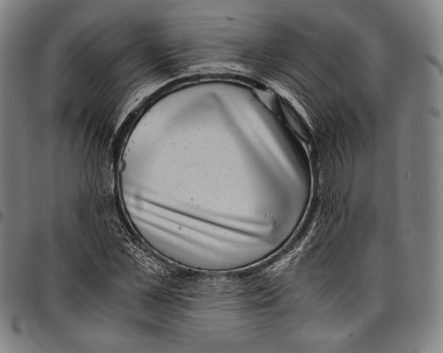 X0000097000973200802291143