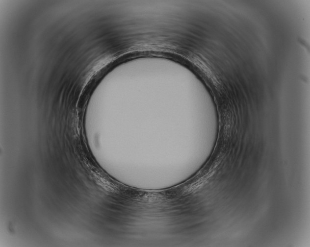 X0000097000974200802291143