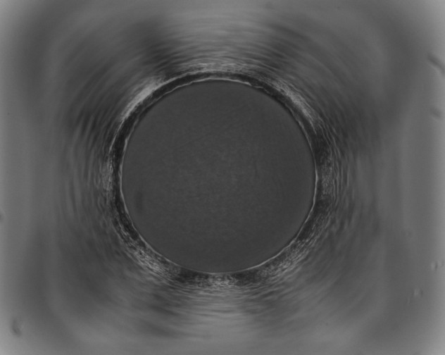 X0000097000975200802291143