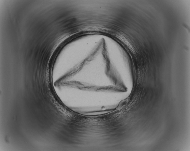 X0000097000976200802291143