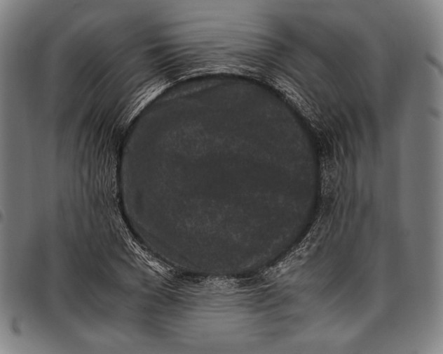 X0000097000977200802291143