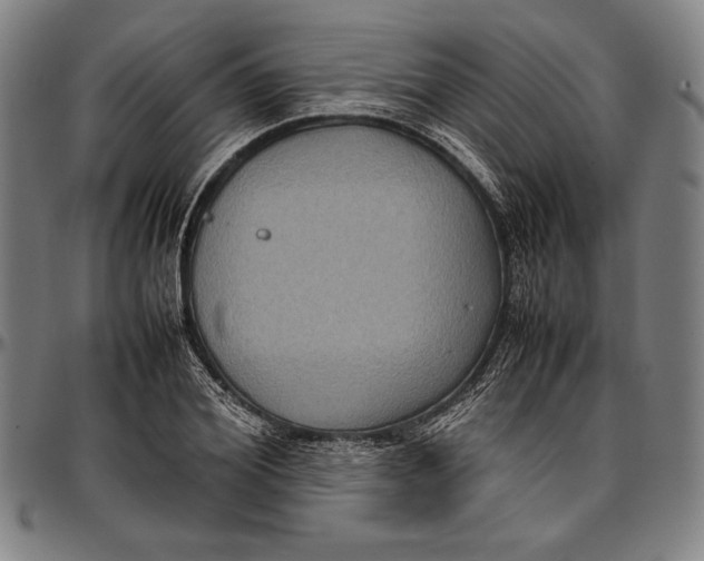 X0000097000980200802291143