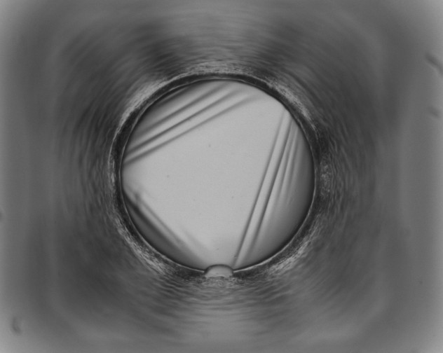 X0000097000981200802291143