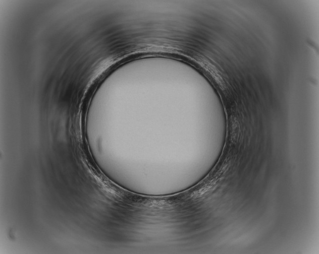 X0000097000982200802291143