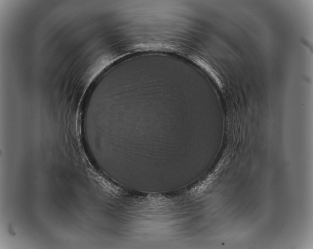 X0000097000983200802291143