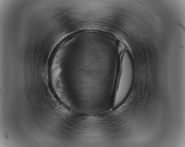 X0000097000984200802291143