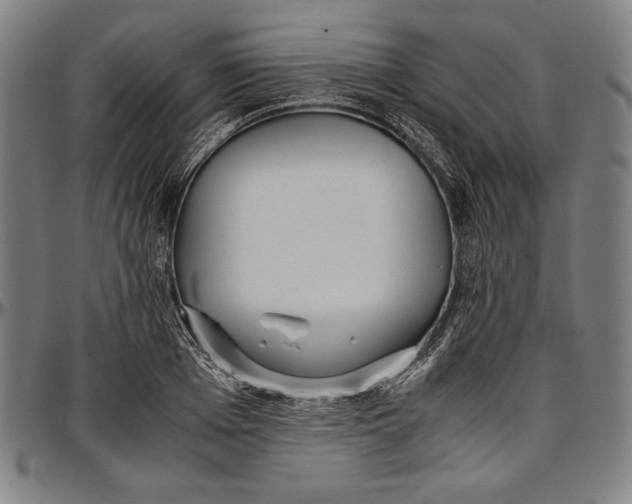 X0000097000985200802291143