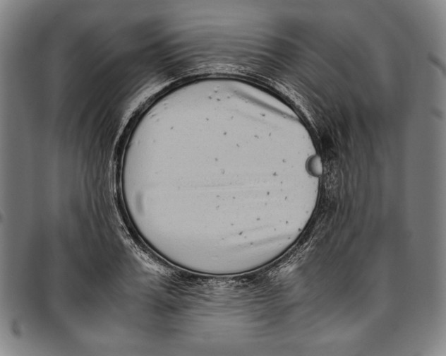 X0000097000987200802291143