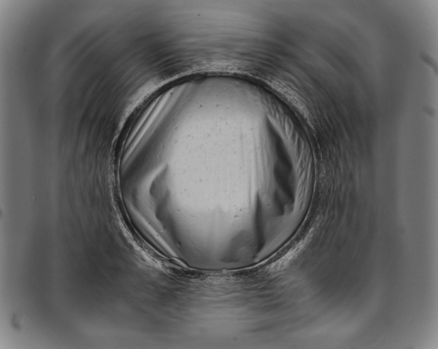 X0000097000989200802291143