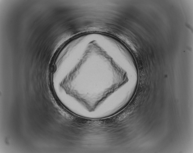 X0000097000991200802291143