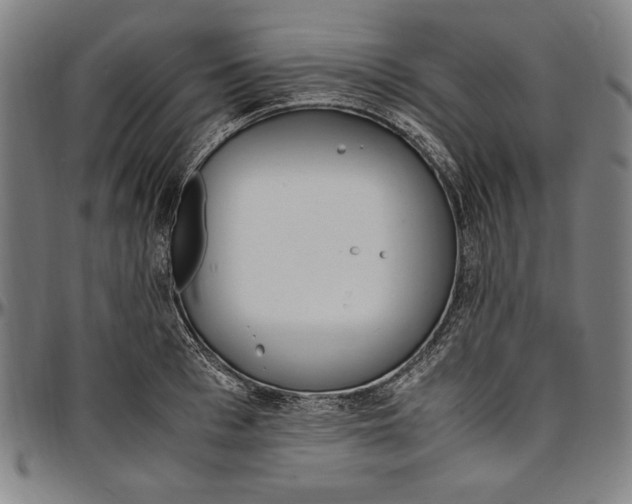 X0000097000993200802291143