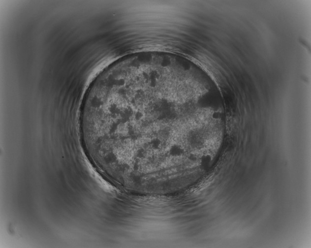 X0000097000995200802291143