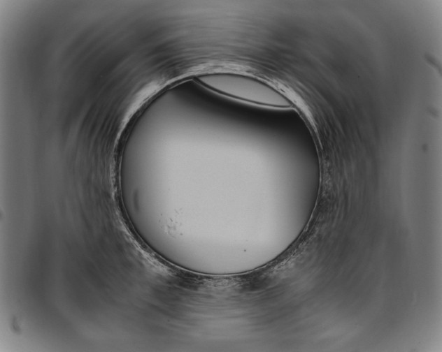 X0000097000997200802291143