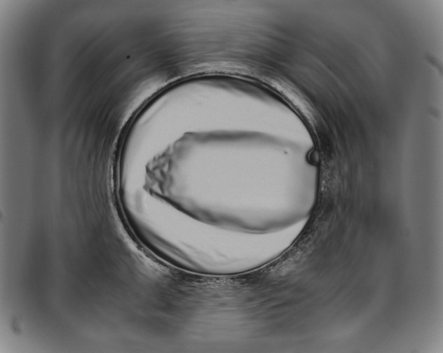 X0000097000999200802291143