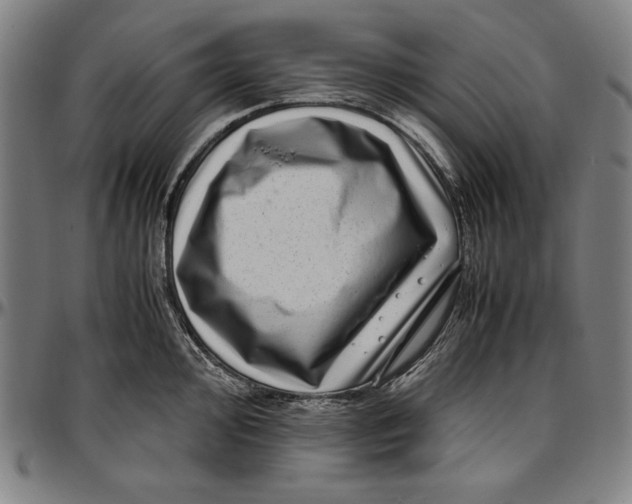 X0000097001000200802291143