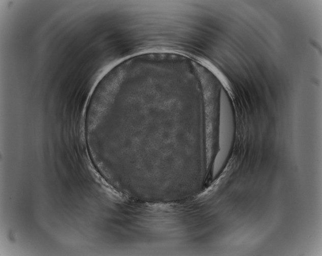 X0000097001004200802291143