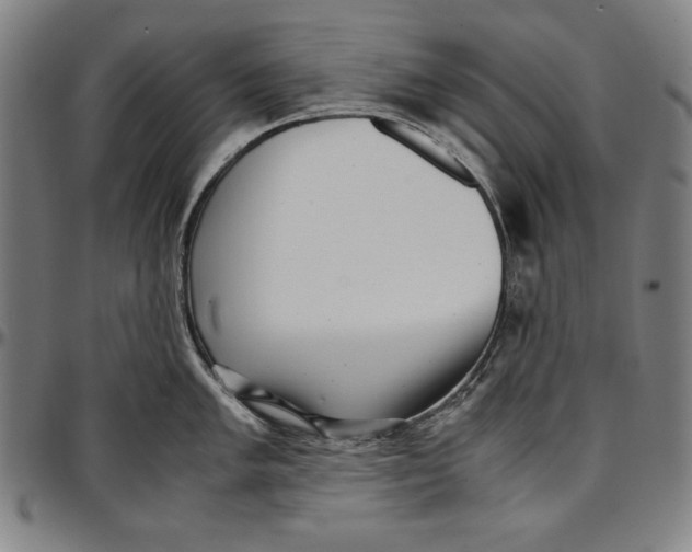 X0000097001005200802291143