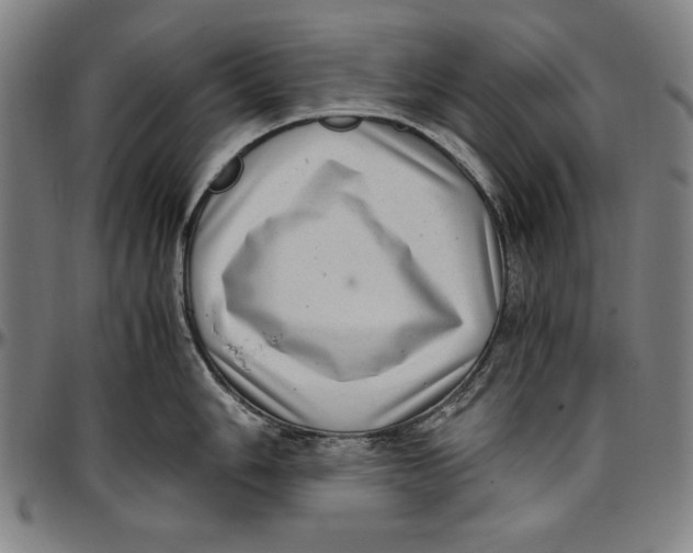 X0000097001006200802291143