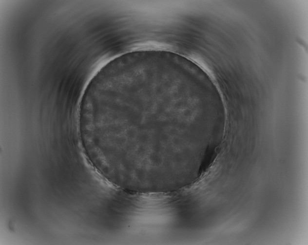 X0000097001008200802291143