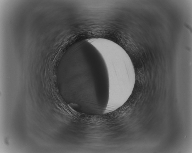 X0000097001009200802291142