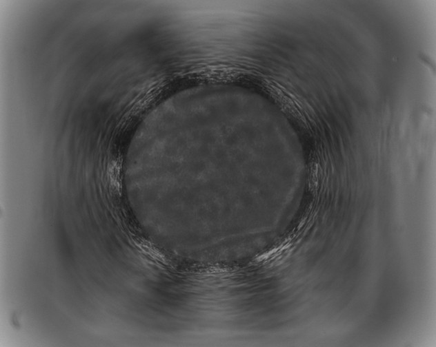 X0000097001010200802291142