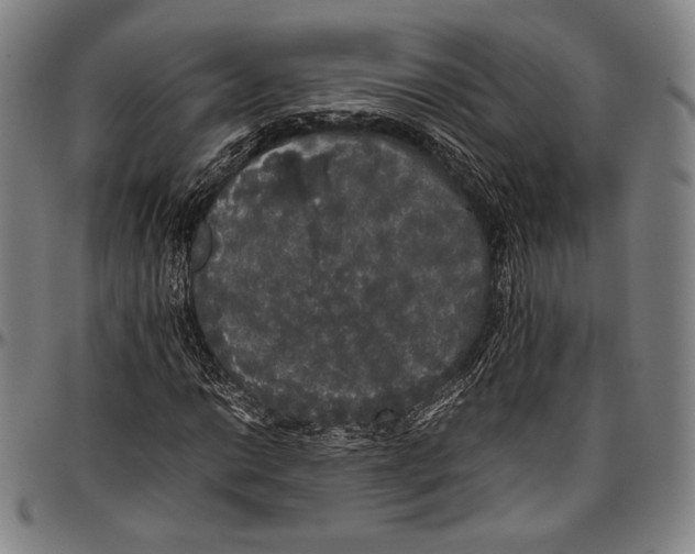 X0000097001014200802291142