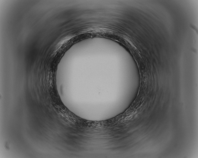 X0000097001016200802291142