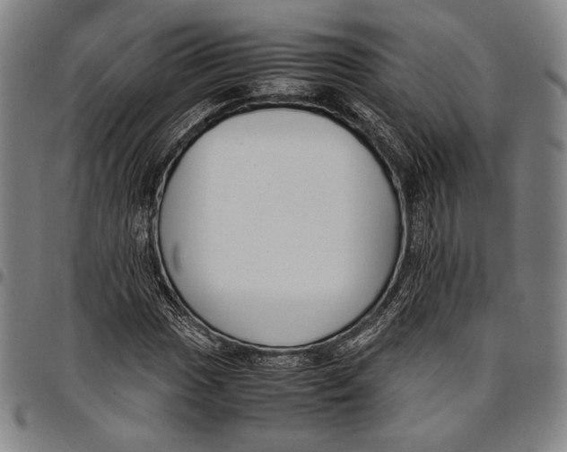 X0000097001017200802291142