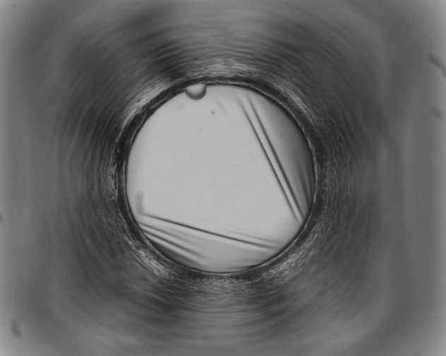 X0000097001018200802291142