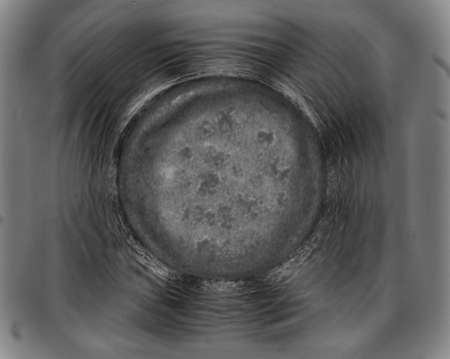 X0000097001019200802291142