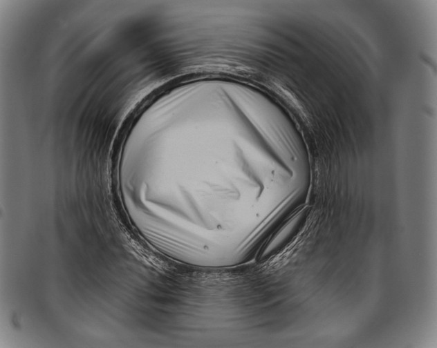 X0000097001020200802291142