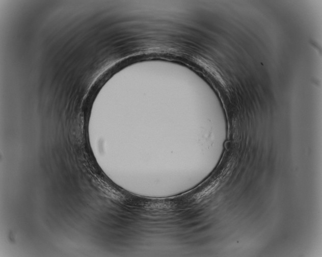 X0000097001021200802291142