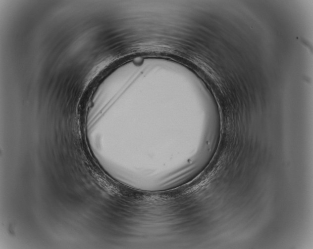 X0000097001022200802291142