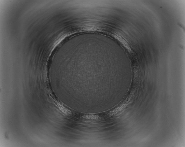 X0000097001023200802291142